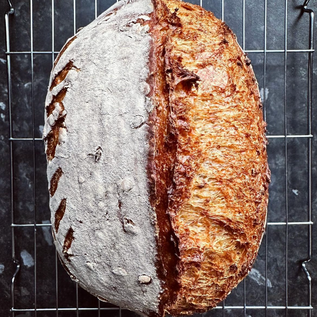  LoafNest: Incredibly Easy Artisan Bread Kit. Cast Iron